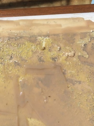 Zoom in Using TotalStrip paint stripper