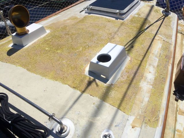 Zoom in Using TotalStrip paint stripper